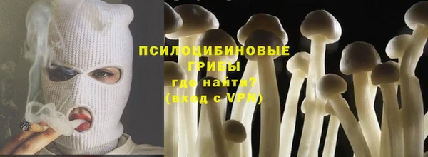 ПСИЛОЦИБИНОВЫЕ ГРИБЫ Зерноград