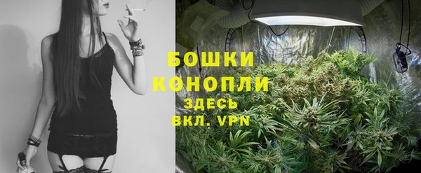 амф Зеленодольск