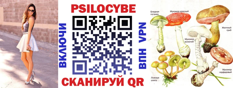 Галлюциногенные грибы GOLDEN TEACHER  Звенигород 
