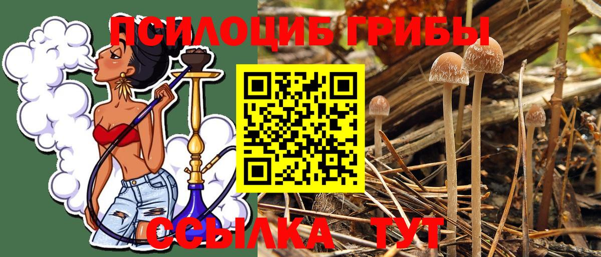 Галлюциногенные грибы MAGIC MUSHROOMS  Вход с VPN  Псилоцибиновые грибы Cubensis  Звенигород 