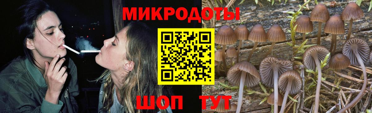 Галлюциногенные грибы GOLDEN TEACHER Звенигород