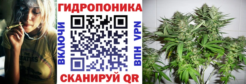 Конопля THC 21%  цена наркотик  Звенигород 